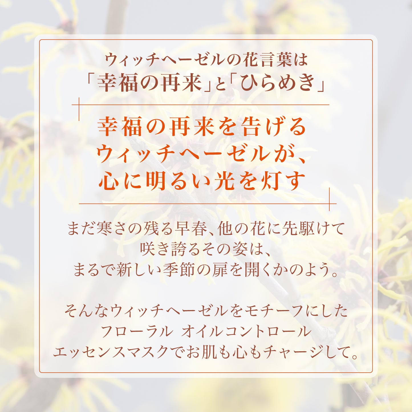 フローラル オイルコントロール エッセンスマスク 4枚入